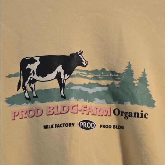 Cream Sweater - Picture 4 of 16